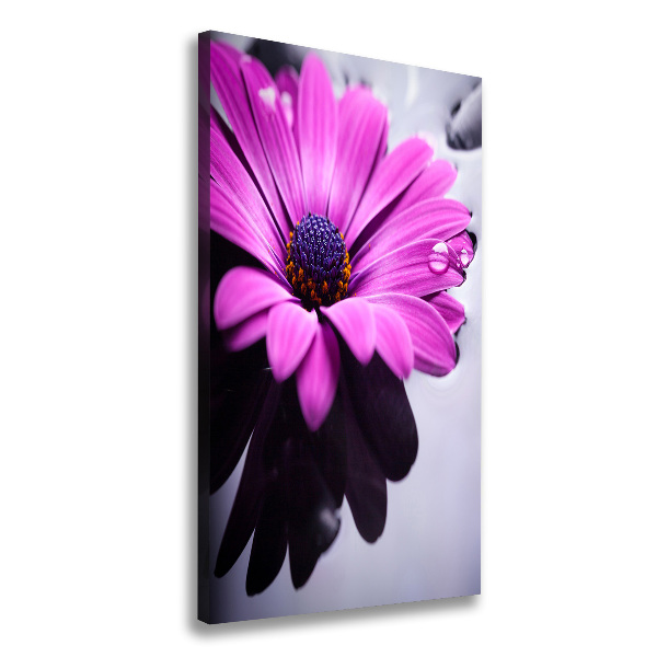 Stampa quadro su tela verticale Gerbera rosa