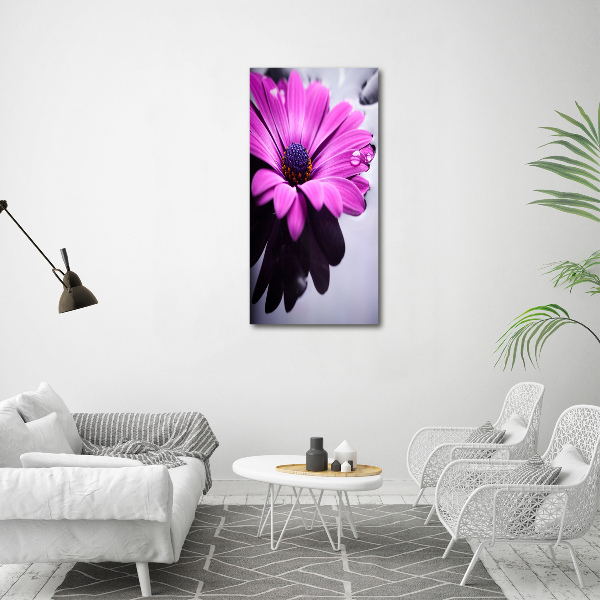 Stampa quadro su tela verticale Gerbera rosa