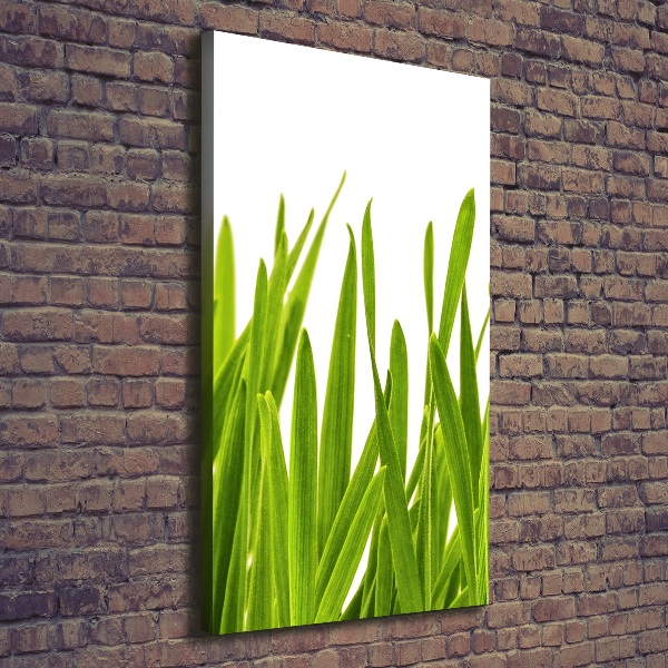 Quadro foto su tela verticale Erba verde