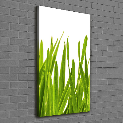 Quadro foto su tela verticale Erba verde