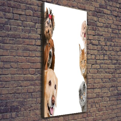 Quadro su tela canvas verticale Cani e gatti