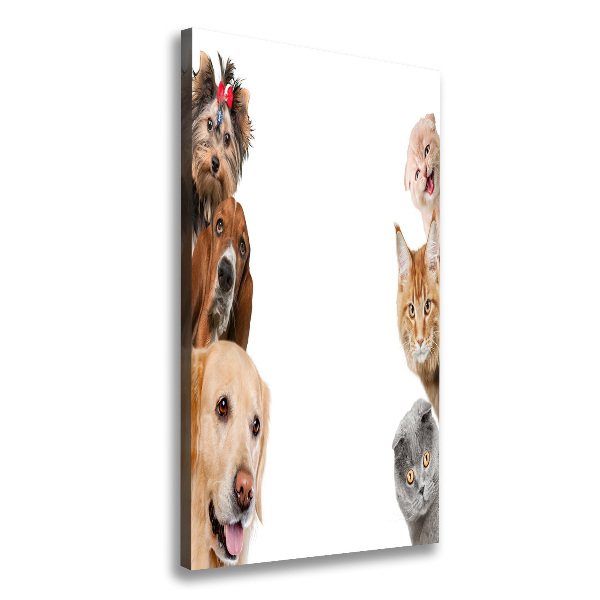 Quadro su tela canvas verticale Cani e gatti