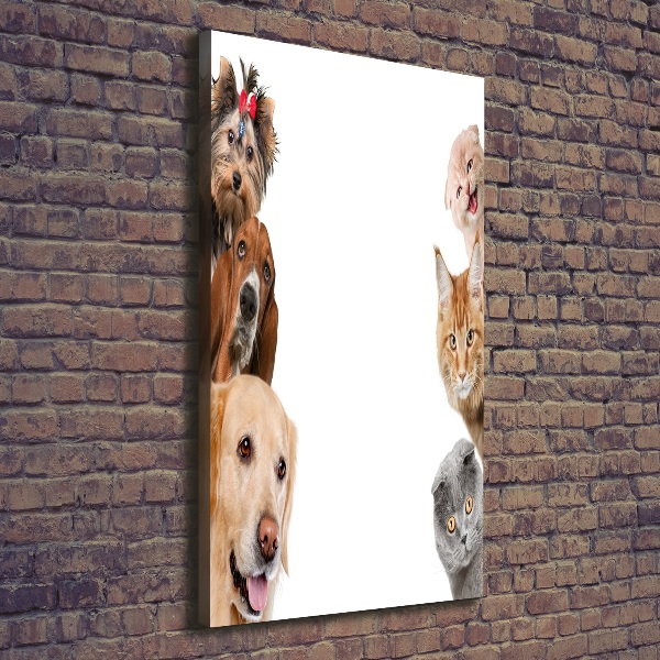 Quadro su tela canvas verticale Cani e gatti