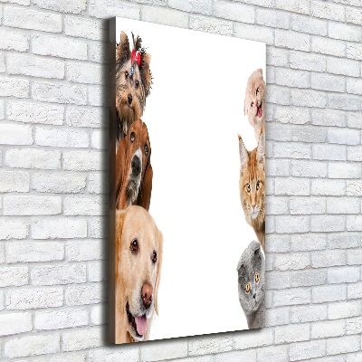 Quadro su tela canvas verticale Cani e gatti
