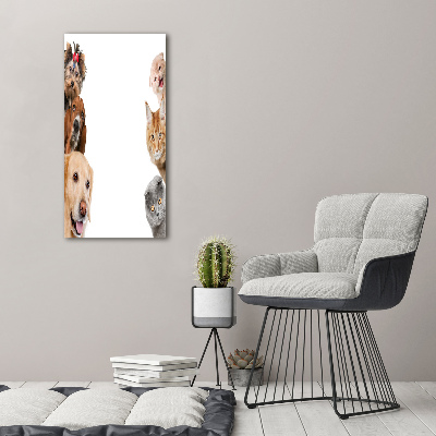 Quadro su tela canvas verticale Cani e gatti