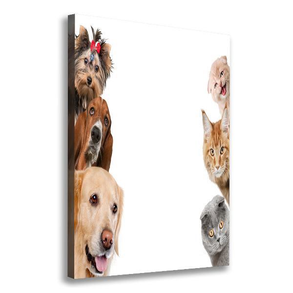 Quadro su tela canvas verticale Cani e gatti