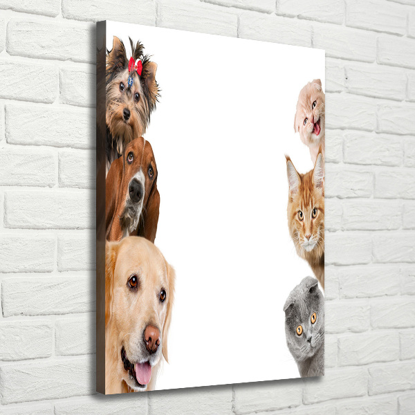 Quadro su tela canvas verticale Cani e gatti