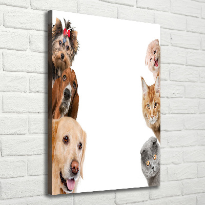 Quadro su tela canvas verticale Cani e gatti
