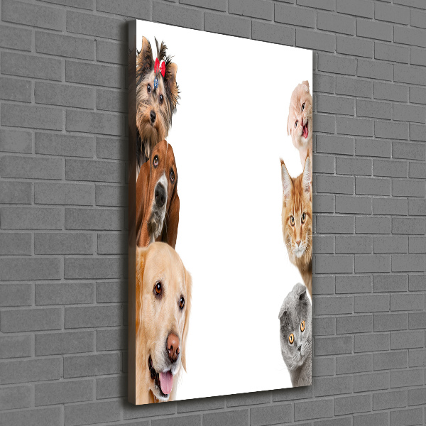 Quadro su tela canvas verticale Cani e gatti