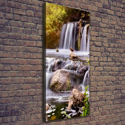 Quadro su tela canvas verticale Cascata