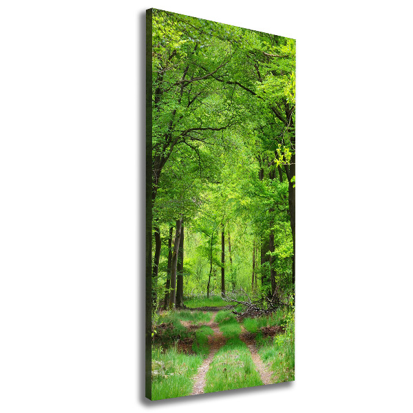 Stampa quadro su tela verticale Foresta verde