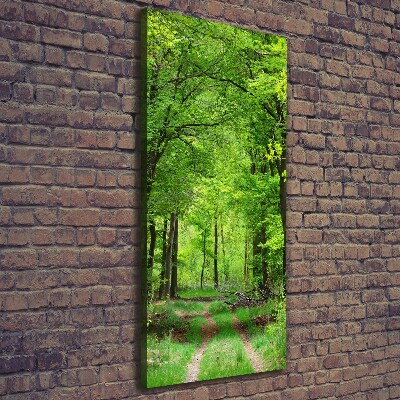 Stampa quadro su tela verticale Foresta verde