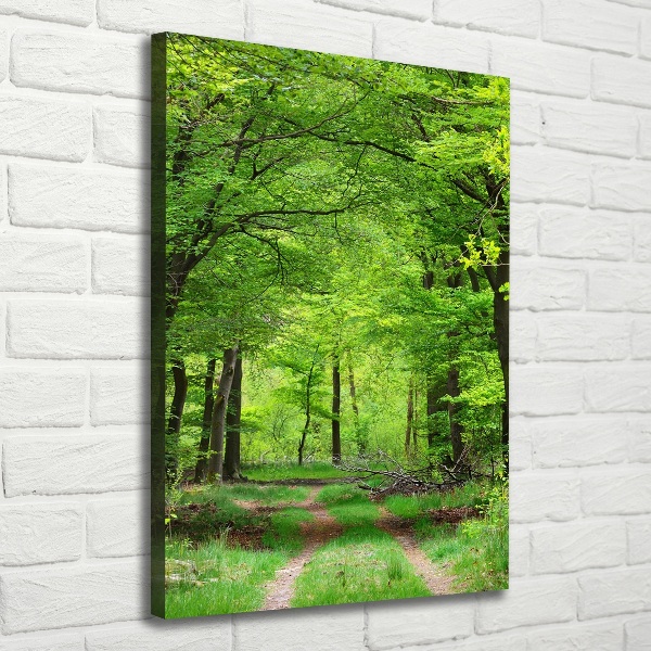 Stampa quadro su tela verticale Foresta verde