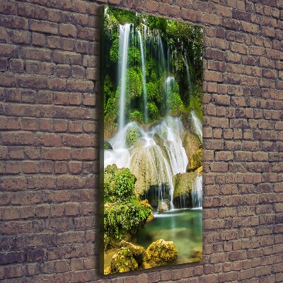 Quadro foto su tela verticale Cascata nella giungla