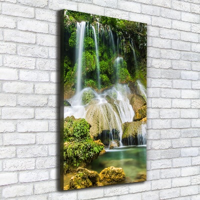 Quadro foto su tela verticale Cascata nella giungla