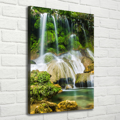 Quadro foto su tela verticale Cascata nella giungla