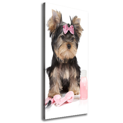 Quadro foto su tela verticale Cosmetici dello Yorkshire