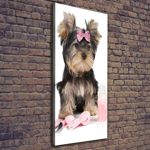 Quadro foto su tela verticale Cosmetici dello Yorkshire