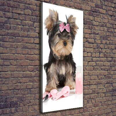 Quadro foto su tela verticale Cosmetici dello Yorkshire