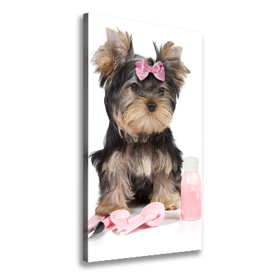 Quadro foto su tela verticale Cosmetici dello Yorkshire