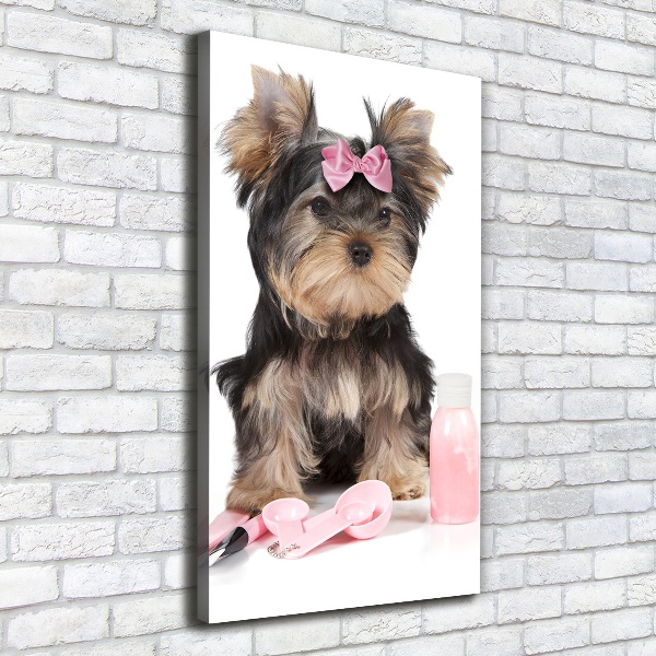 Quadro foto su tela verticale Cosmetici dello Yorkshire