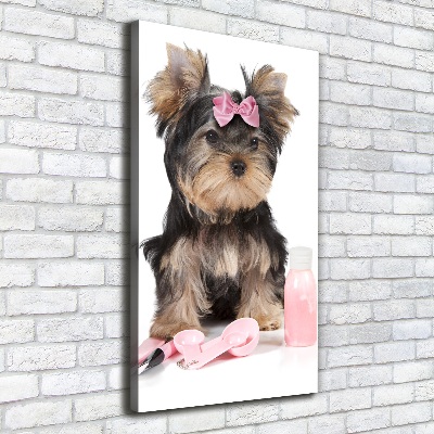 Quadro foto su tela verticale Cosmetici dello Yorkshire