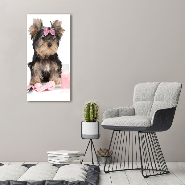 Quadro foto su tela verticale Cosmetici dello Yorkshire