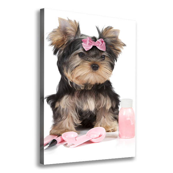 Quadro foto su tela verticale Cosmetici dello Yorkshire