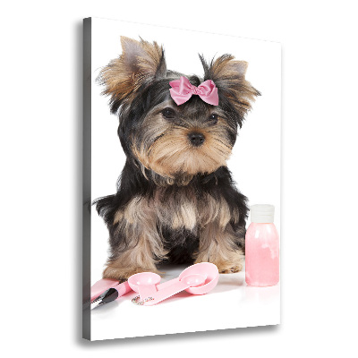 Quadro foto su tela verticale Cosmetici dello Yorkshire