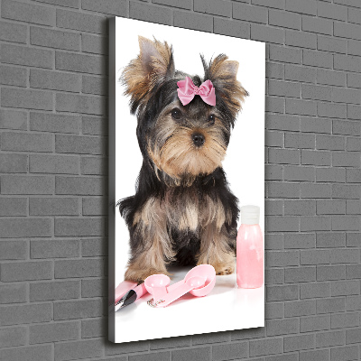 Quadro foto su tela verticale Cosmetici dello Yorkshire