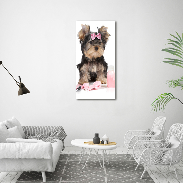 Quadro foto su tela verticale Cosmetici dello Yorkshire