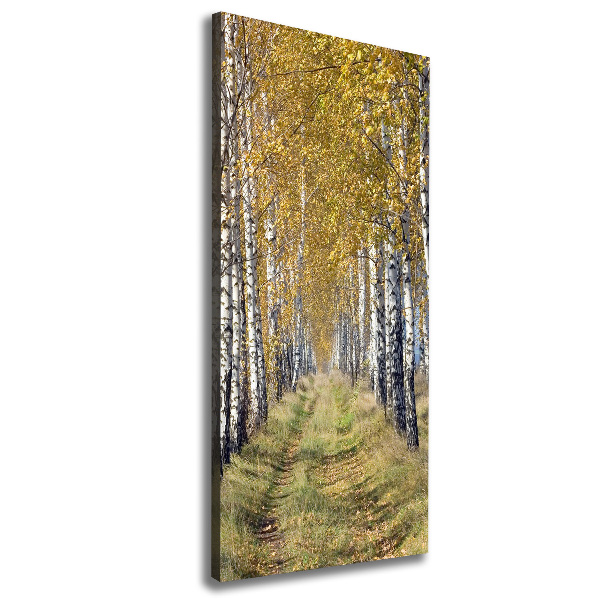 Quadro su tela canvas verticale Foresta di betulle