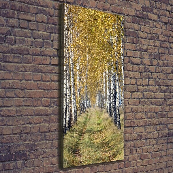 Quadro su tela canvas verticale Foresta di betulle