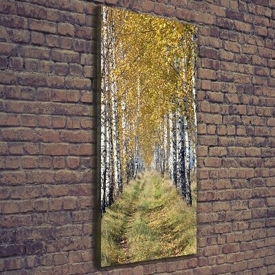 Quadro su tela canvas verticale Foresta di betulle