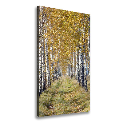 Quadro su tela canvas verticale Foresta di betulle