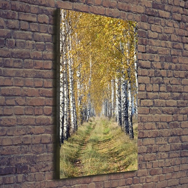 Quadro su tela canvas verticale Foresta di betulle