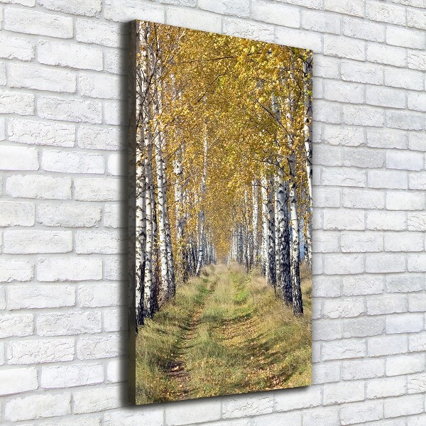 Quadro su tela canvas verticale Foresta di betulle