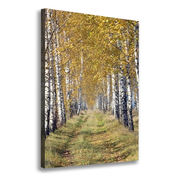 Quadro su tela canvas verticale Foresta di betulle