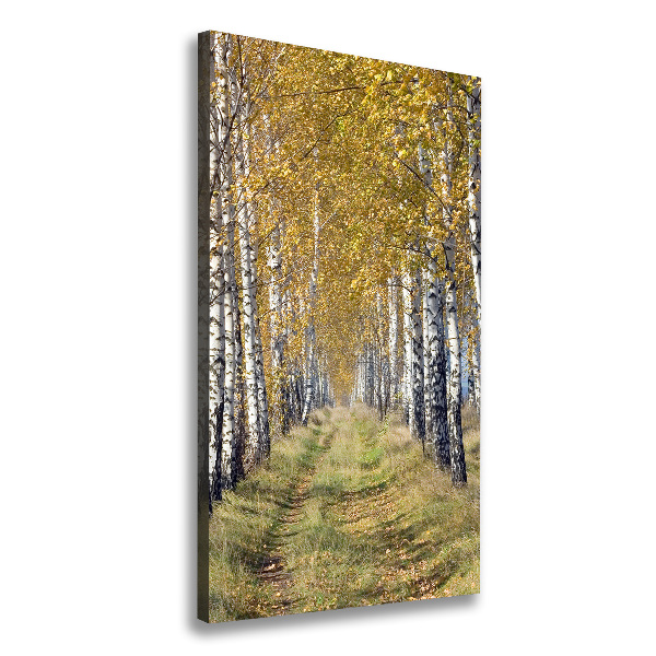 Quadro su tela canvas verticale Foresta di betulle