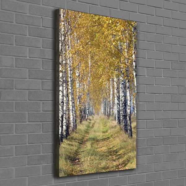 Quadro su tela canvas verticale Foresta di betulle