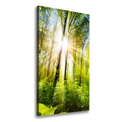 Quadro foto su tela verticale Il sole nella foresta