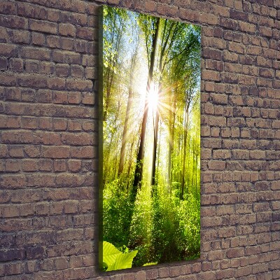 Quadro foto su tela verticale Il sole nella foresta