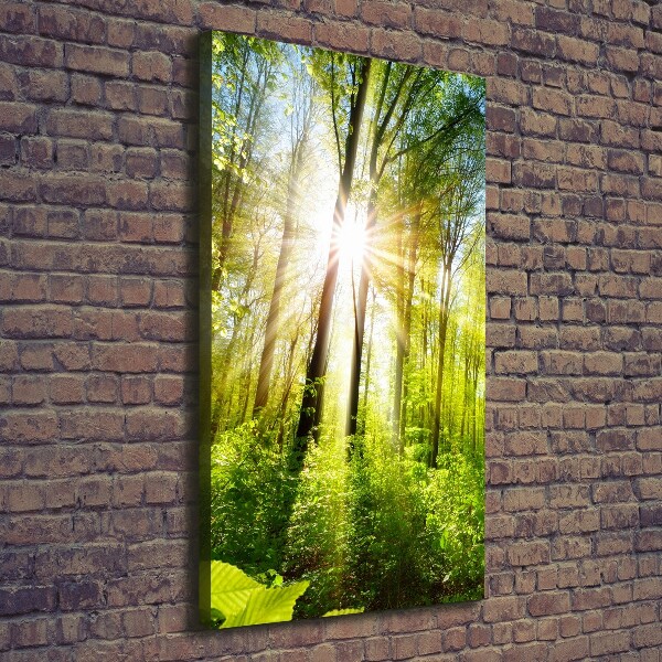 Quadro foto su tela verticale Il sole nella foresta