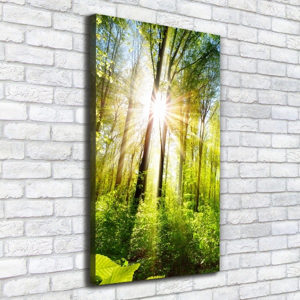 Quadro foto su tela verticale Il sole nella foresta