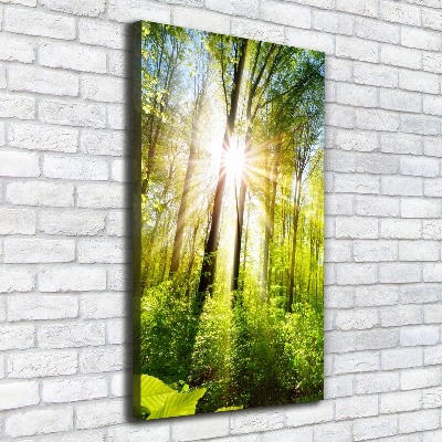 Quadro foto su tela verticale Il sole nella foresta