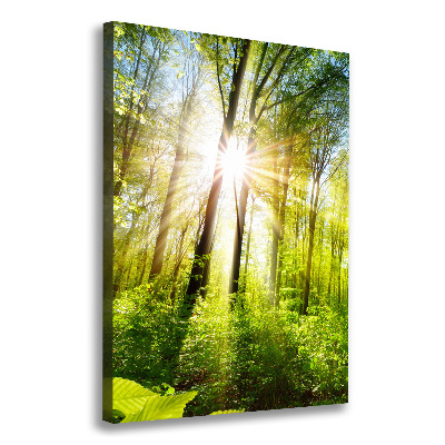 Quadro foto su tela verticale Il sole nella foresta