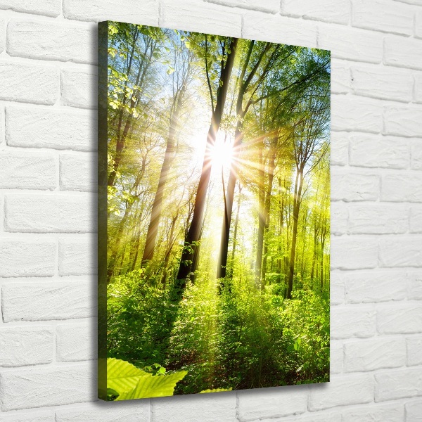 Quadro foto su tela verticale Il sole nella foresta
