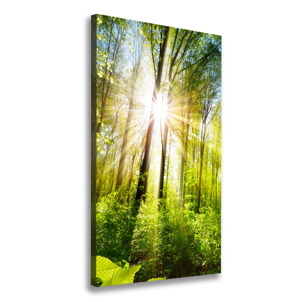 Quadro foto su tela verticale Il sole nella foresta