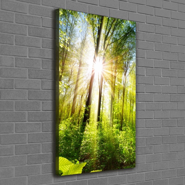 Quadro foto su tela verticale Il sole nella foresta