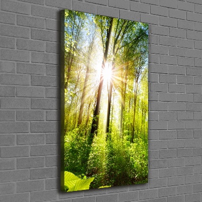 Quadro foto su tela verticale Il sole nella foresta